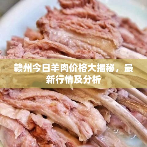 贛州今日羊肉價(jià)格大揭秘，最新行情及分析