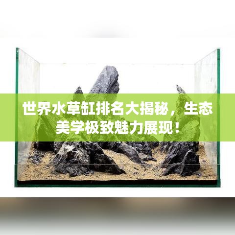 世界水草缸排名大揭秘，生態(tài)美學(xué)極致魅力展現(xiàn)！