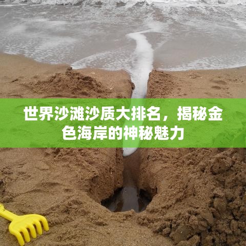 虎背熊腰 第3頁