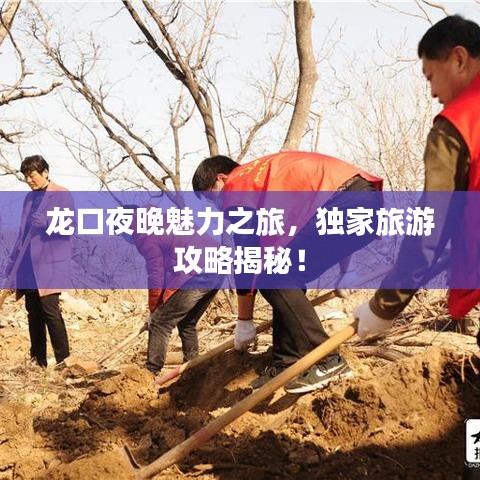 龍口夜晚魅力之旅，獨家旅游攻略揭秘！
