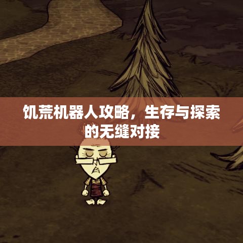 饑荒機(jī)器人攻略，生存與探索的無縫對接
