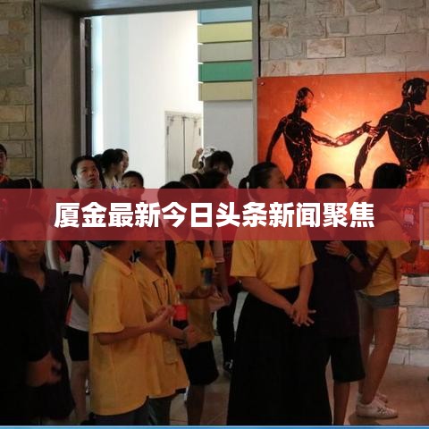 廈金最新今日頭條新聞聚焦