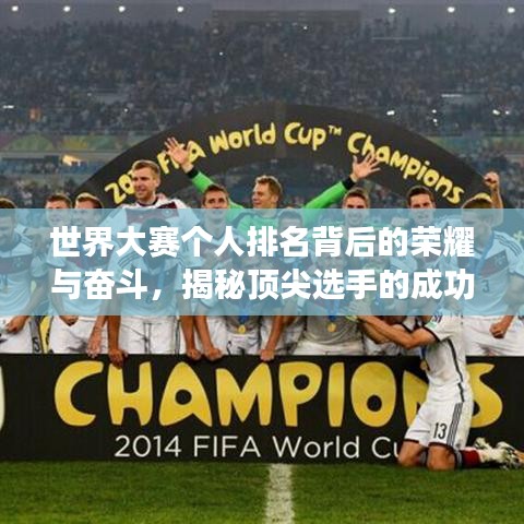 世界大賽個人排名背后的榮耀與奮斗，揭秘頂尖選手的成功之路