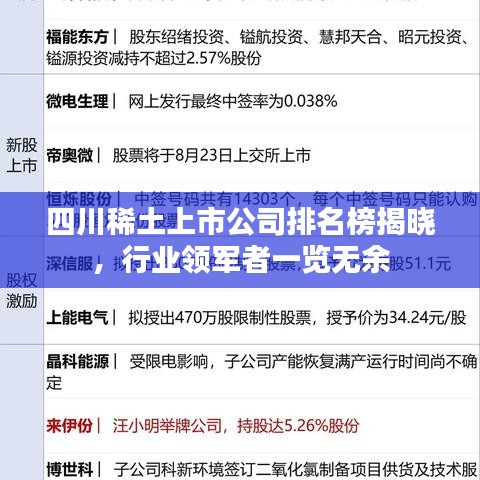 四川稀土上市公司排名榜揭曉，行業(yè)領(lǐng)軍者一覽無余