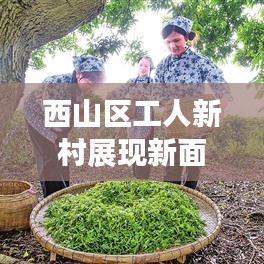 西山區(qū)工人新村展現(xiàn)新面貌，社區(qū)發(fā)展帶動幸福生活新篇章