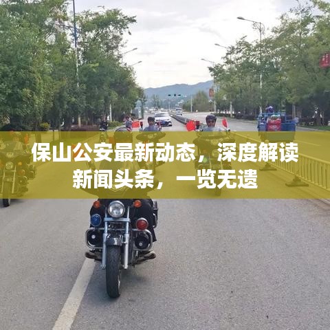 保山公安最新動(dòng)態(tài)，深度解讀新聞?lì)^條，一覽無遺