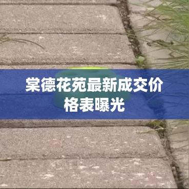 棠德花苑最新成交價格表曝光