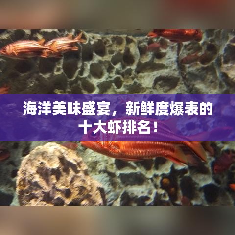 海洋美味盛宴，新鮮度爆表的十大蝦排名！