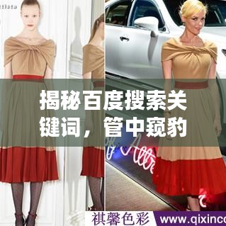 揭秘百度搜索關(guān)鍵詞，管中窺豹解析攻略！