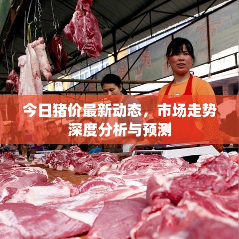 今日豬價(jià)最新動(dòng)態(tài)，市場(chǎng)走勢(shì)深度分析與預(yù)測(cè)