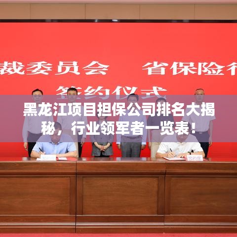 黑龍江項目擔保公司排名大揭秘，行業(yè)領軍者一覽表！