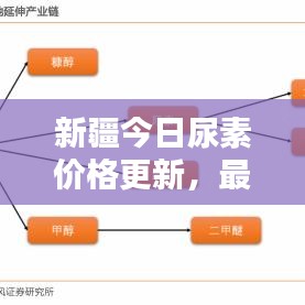 新疆今日尿素價格更新，最新消息今日行情分析