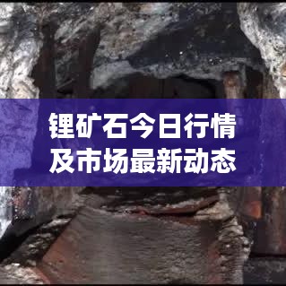 鋰礦石今日行情及市場最新動態(tài)速遞