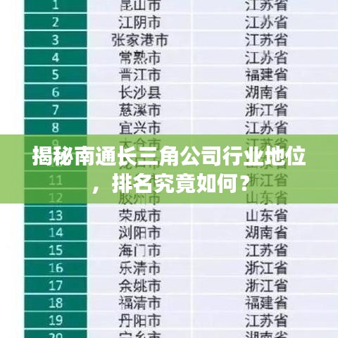 揭秘南通長三角公司行業(yè)地位，排名究竟如何？