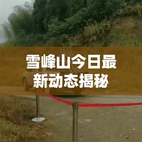 雪峰山今日最新動(dòng)態(tài)揭秘