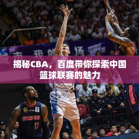 揭秘CBA，百度帶你探索中國籃球聯(lián)賽的魅力