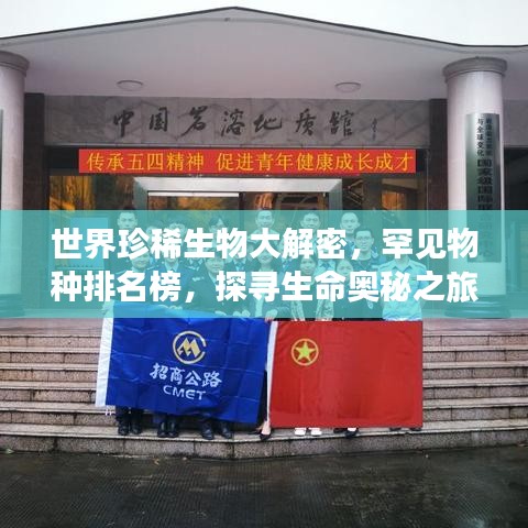 世界珍稀生物大解密，罕見物種排名榜，探尋生命奧秘之旅