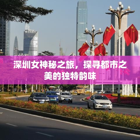 深圳女神秘之旅，探尋都市之美的獨(dú)特韻味