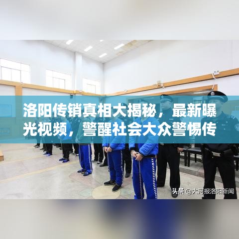 洛陽傳銷真相大揭秘，最新曝光視頻，警醒社會大眾警惕傳銷陷阱