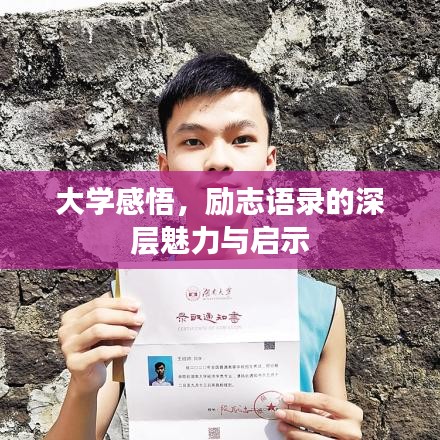 大學(xué)感悟，勵(lì)志語(yǔ)錄的深層魅力與啟示