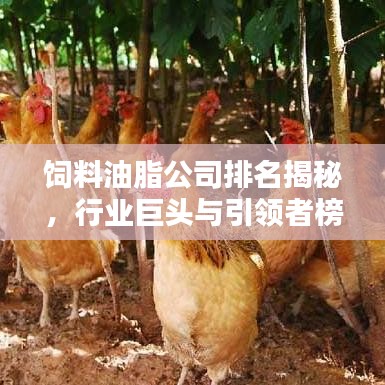 飼料油脂公司排名揭秘，行業(yè)巨頭與引領(lǐng)者榜單