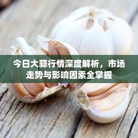 今日大蒜行情深度解析，市場走勢與影響因素全掌握