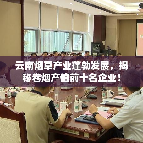 云南煙草產業(yè)蓬勃發(fā)展，揭秘卷煙產值前十名企業(yè)！