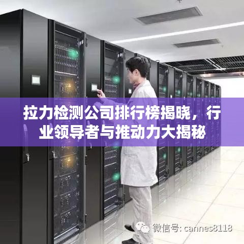 拉力檢測(cè)公司排行榜揭曉，行業(yè)領(lǐng)導(dǎo)者與推動(dòng)力大揭秘