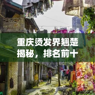 重慶燙發(fā)界翹楚揭秘，排名前十美發(fā)師風(fēng)采展示！