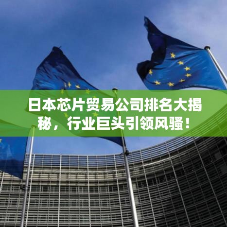 日本芯片貿(mào)易公司排名大揭秘，行業(yè)巨頭引領(lǐng)風(fēng)騷！