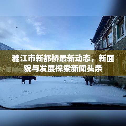 雅江市新都橋最新動態(tài)，新面貌與發(fā)展探索新聞頭條
