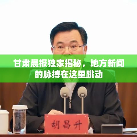 甘肅晨報獨家揭秘，地方新聞的脈搏在這里跳動