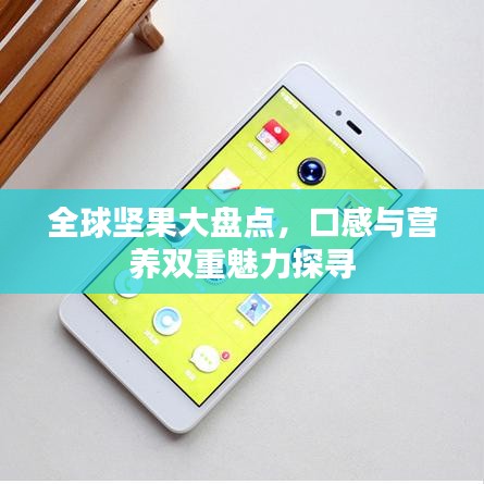 全球堅果大盤點，口感與營養(yǎng)雙重魅力探尋