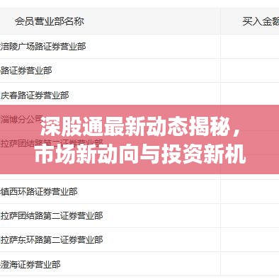 深股通最新動態(tài)揭秘，市場新動向與投資新機遇解析