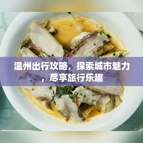溫州出行攻略，探索城市魅力，盡享旅行樂(lè)趣