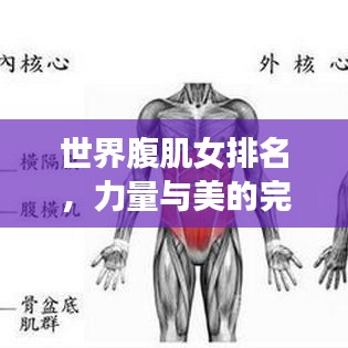世界腹肌女排名，力量與美的完美結(jié)合，震撼你的視覺！
