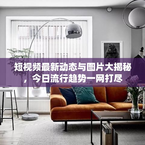 短視頻最新動態(tài)與圖片大揭秘，今日流行趨勢一網(wǎng)打盡