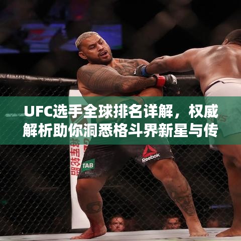 UFC選手全球排名詳解，權(quán)威解析助你洞悉格斗界新星與傳奇之戰(zhàn)！
