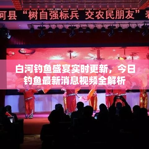 白河釣魚盛宴實時更新，今日釣魚最新消息視頻全解析