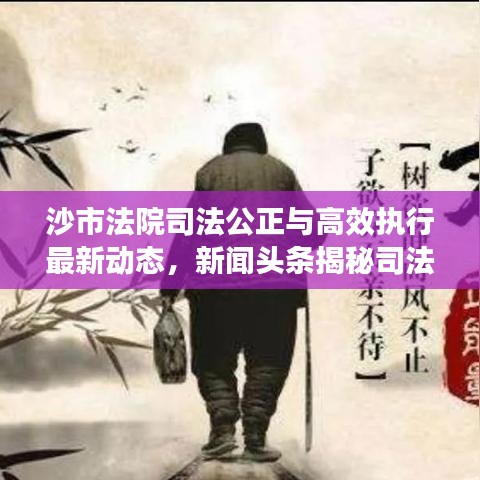 沙市法院司法公正與高效執(zhí)行最新動(dòng)態(tài)，新聞?lì)^條揭秘司法進(jìn)展