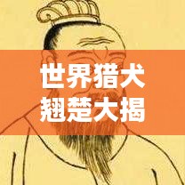 世界獵犬翹楚大揭秘，最佳獵犬排名榜單！