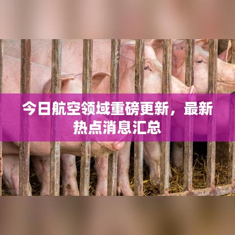 今日航空領域重磅更新，最新熱點消息匯總