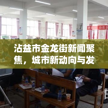 沾益市金龍街新聞聚焦，城市新動(dòng)向與發(fā)展亮點(diǎn)揭秘