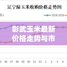 彰武玉米最新價格走勢與市場深度解析
