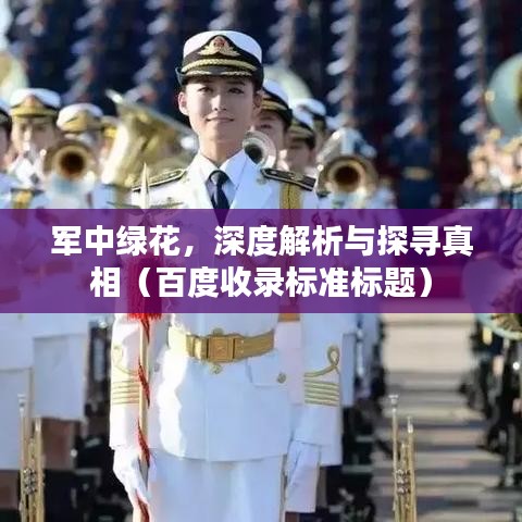 軍中綠花，深度解析與探尋真相（百度收錄標準標題）