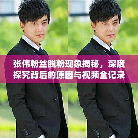 張偉粉絲脫粉現(xiàn)象揭秘，深度探究背后的原因與視頻全記錄
