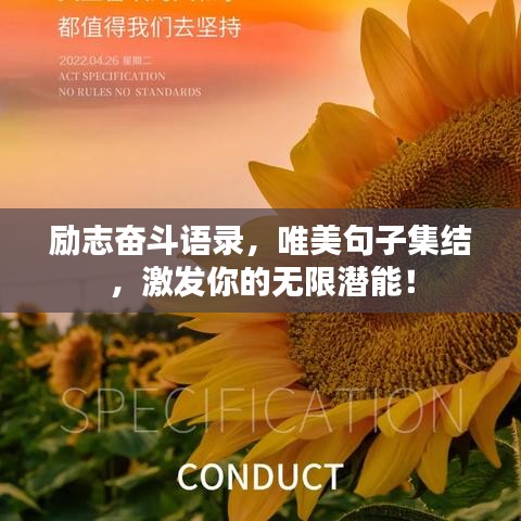 勵志奮斗語錄，唯美句子集結，激發(fā)你的無限潛能！