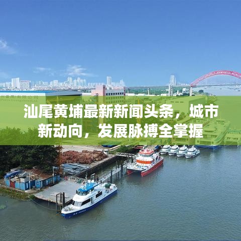 汕尾黃埔最新新聞頭條，城市新動向，發(fā)展脈搏全掌握