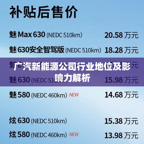 廣汽新能源公司行業(yè)地位及影響力解析