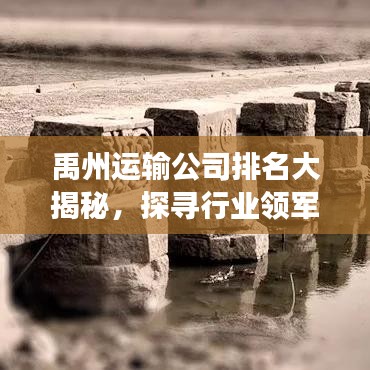 禹州運(yùn)輸公司排名大揭秘，探尋行業(yè)領(lǐng)軍者的成功秘訣！